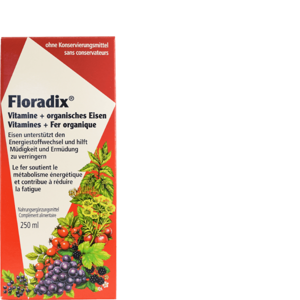 Floradix Kräuter-Eisen Saft